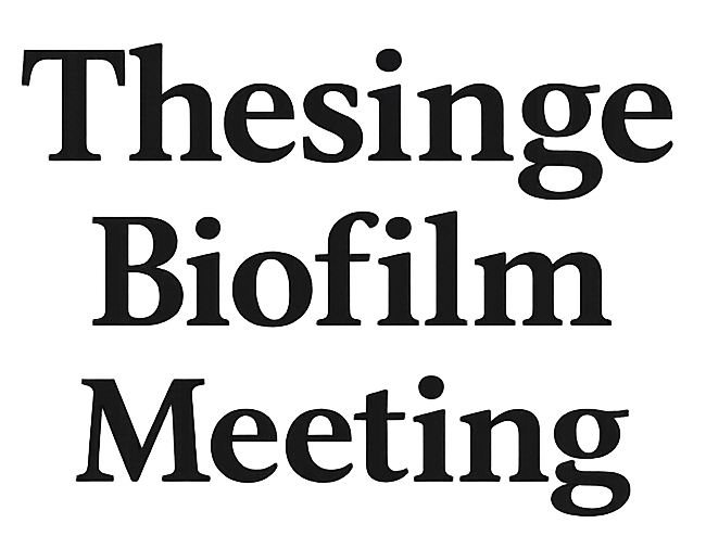 Thesinge Conferences